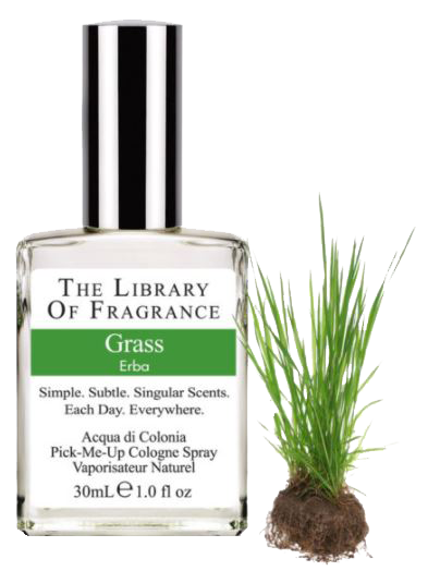 Library of Fragrance Grass ohne Hintergrund