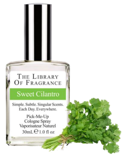 Library of Fragrance Sweet Cilantro ohne Hintergrund