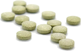 Zahnputz-Tabletten Matcha-Zitrus
