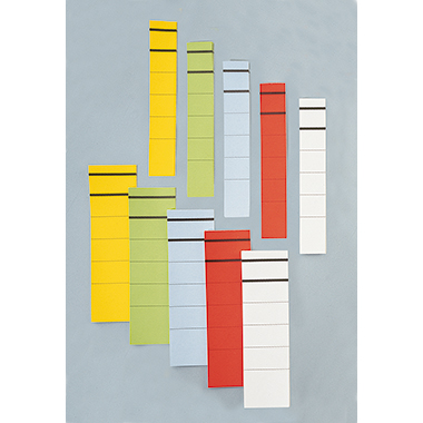 Ordneretikett schmal/kurz sk Papier grün 10 St./Pack
