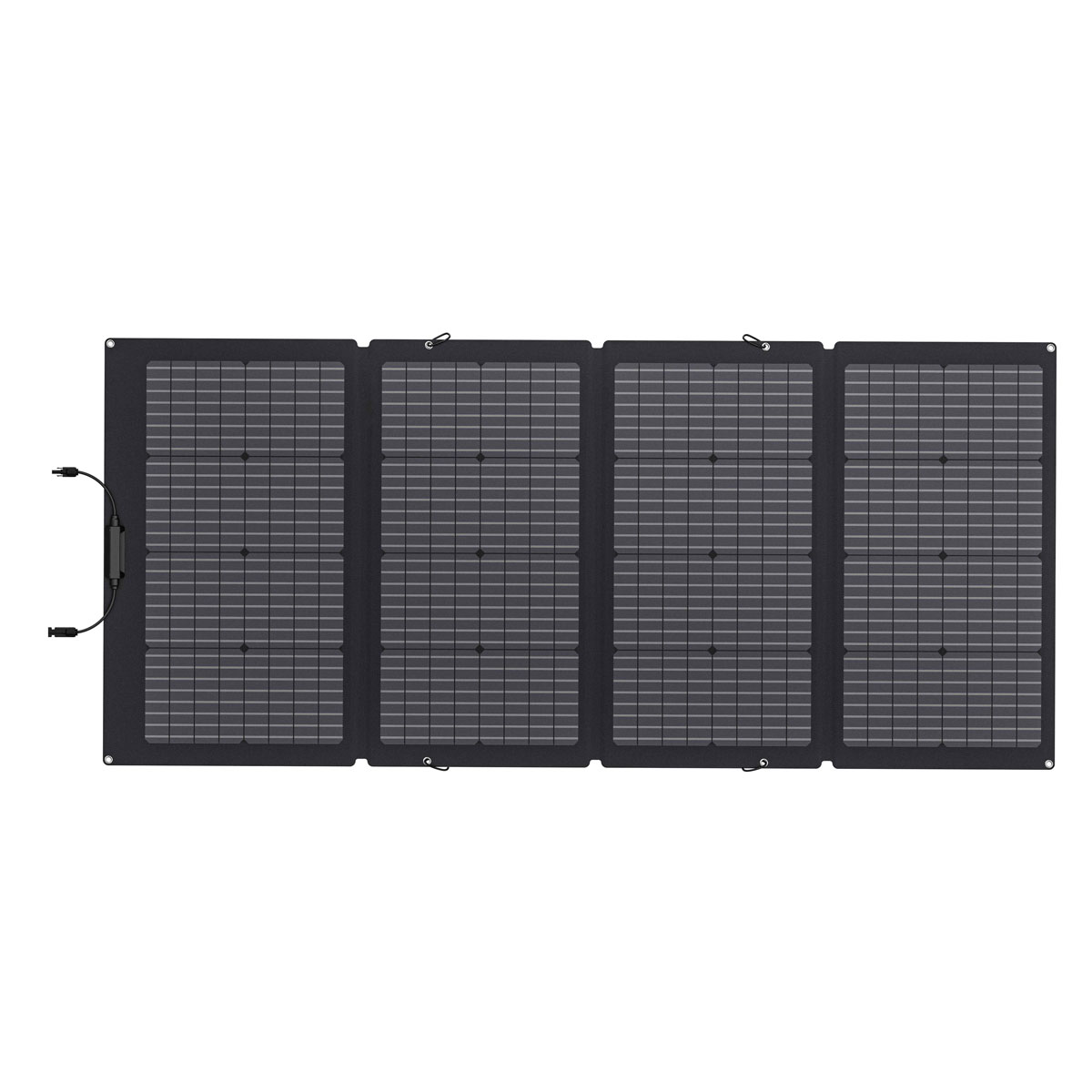 EcoFlow Solar Panel 220W faltbares Solarmodul mit Tragetasche