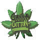 Canna Cotton Canna Cotton