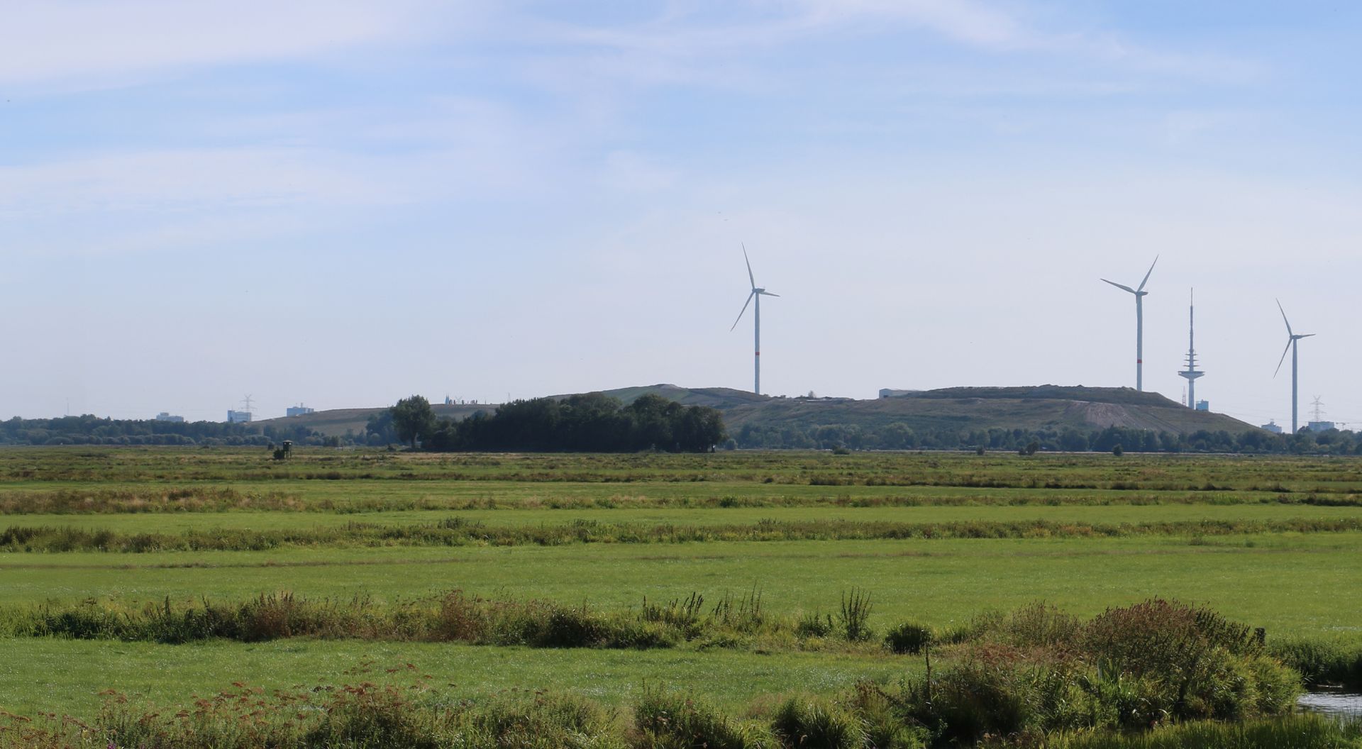 elriwa M7-H55-E - Hintergrundplatte aus PVC-Hartschaum 'Norddeutschland, Epoche IV-VI', Höhe 55 cm, Bild E