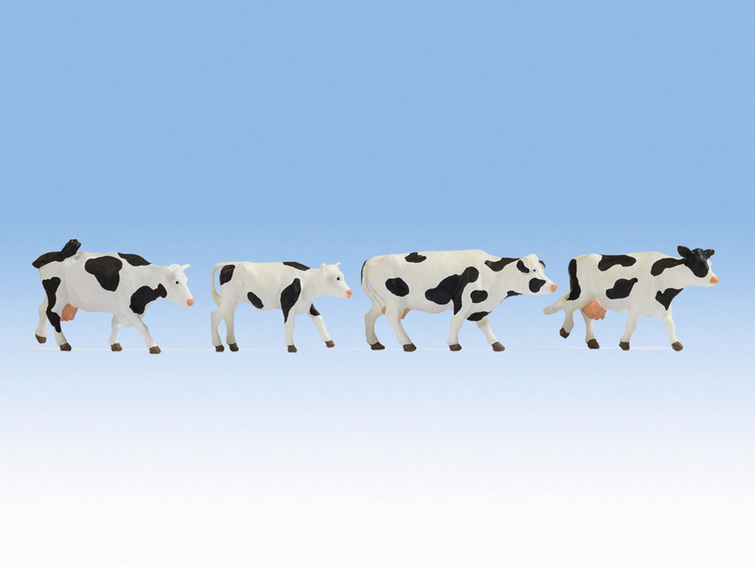 Noch 17900 - Kühe, schwarz-weiß