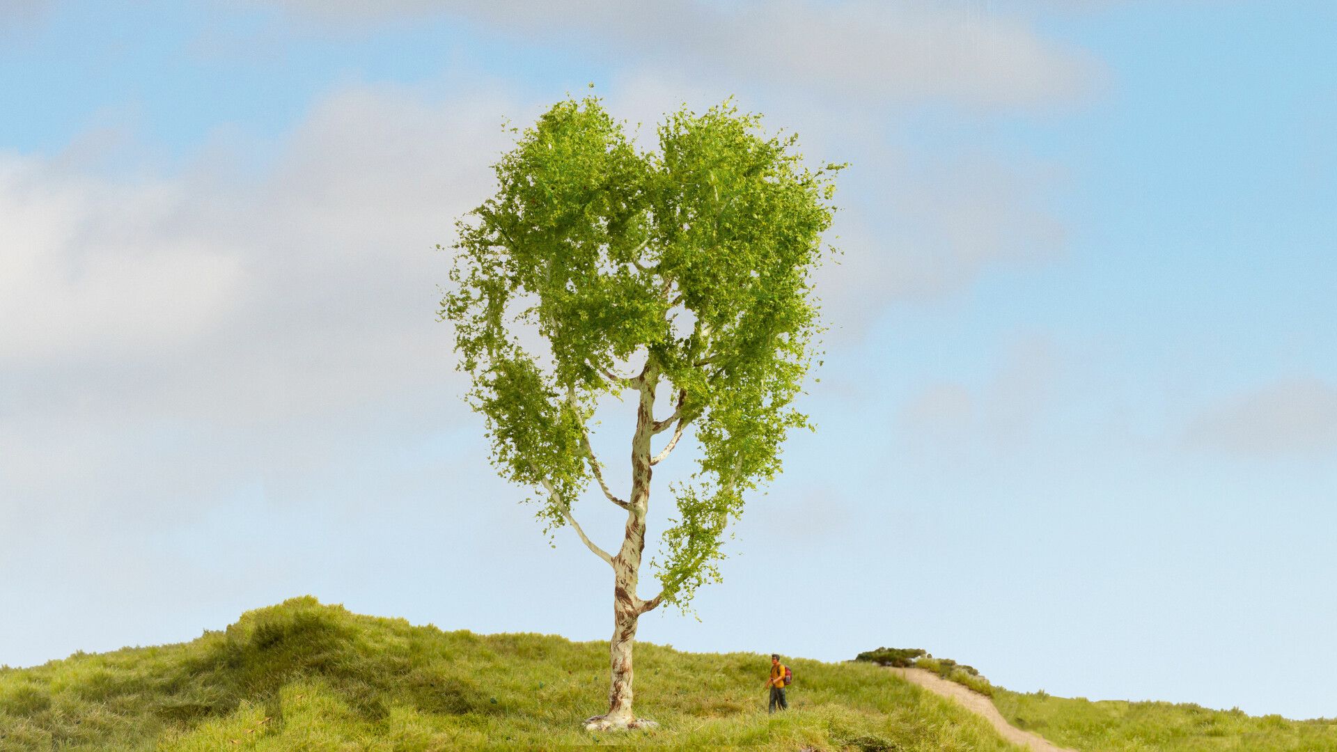 Noch 20125 - Moorbirke, 21 cm hoch