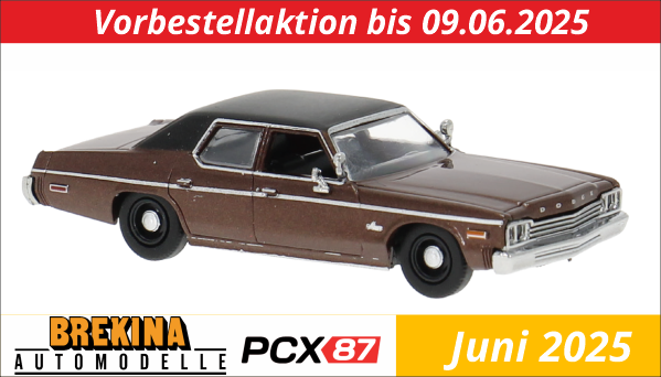 brekina_300525_blog