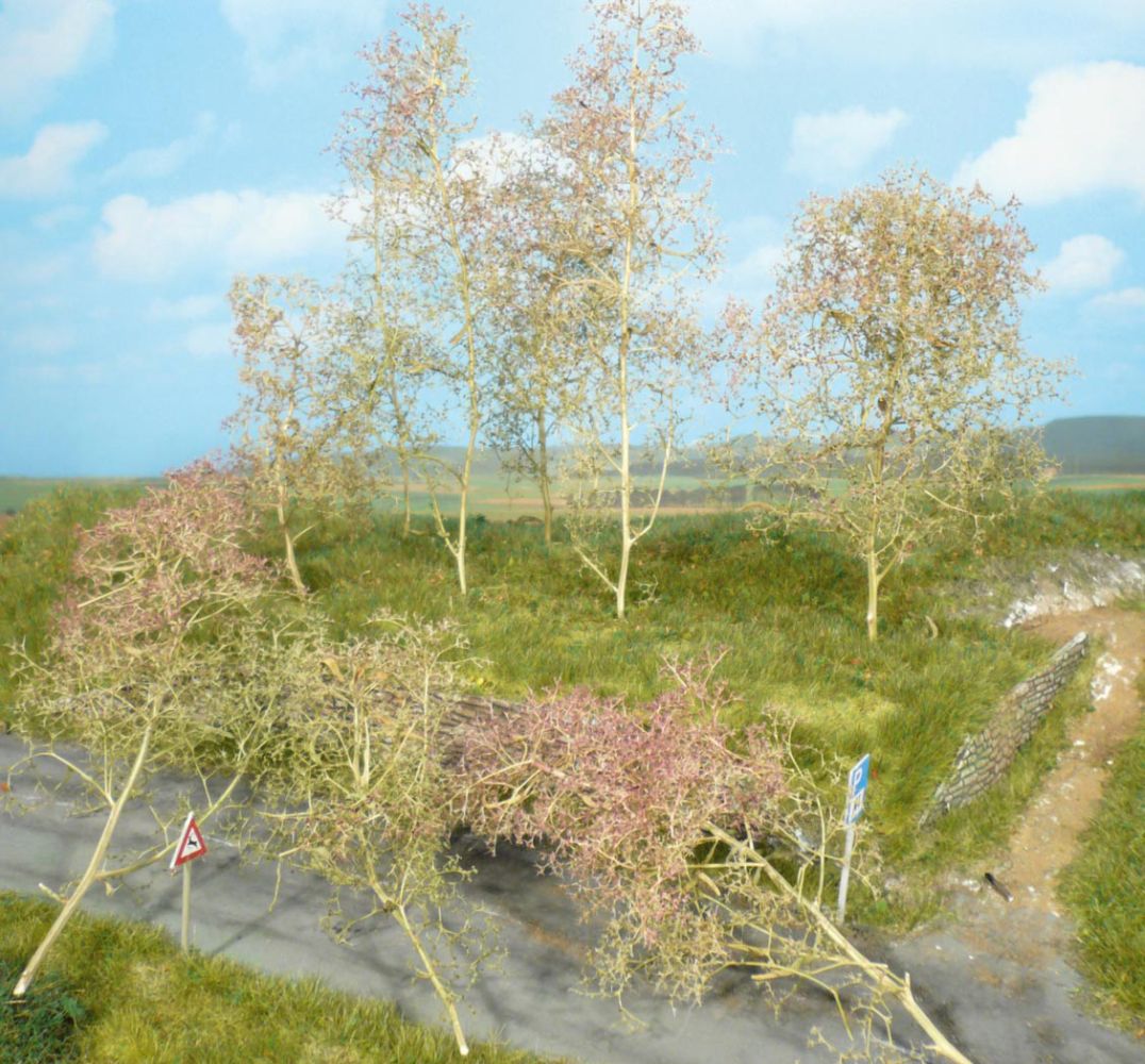 Heki 1638 - 20 Bäume, Seemoos natur