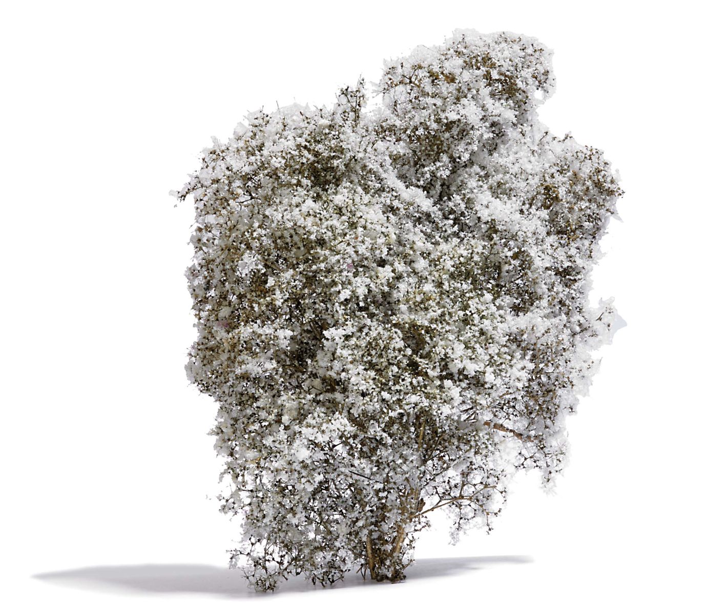 Busch 3585 - Filigranbusch, weiß blühend