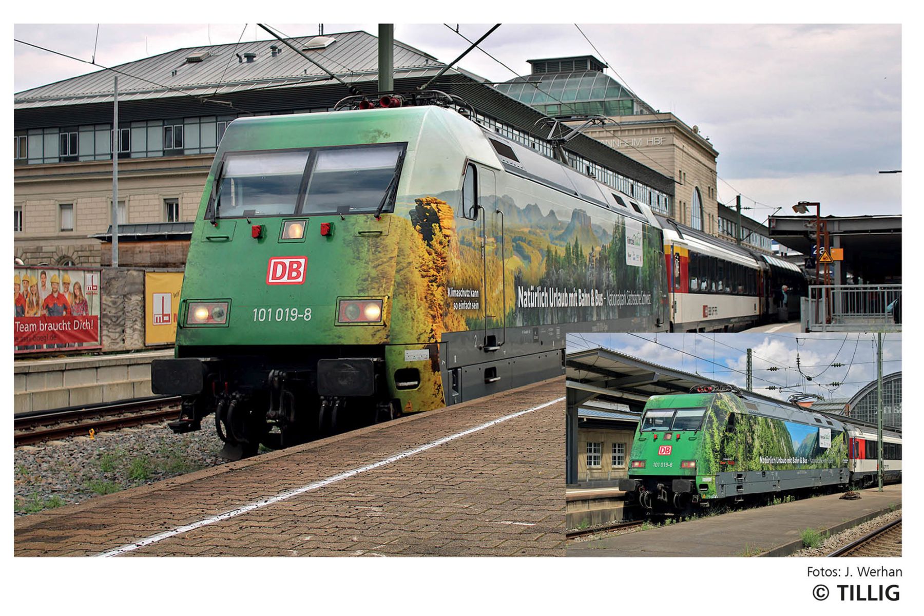 Tillig 02321 - E-Lok 101 019-8 'Fahrziel Natur', DBAG, Ep.VI 'Sächsische Schweiz'