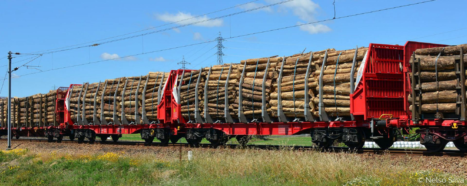 Sudexpress N657002 - Holztransportwagen Sggmrss, iber-cargo, Ep.VI