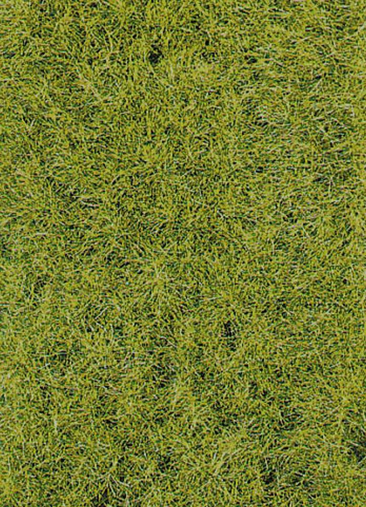 Heki 3376 - Grasfasern Frühling, 10mm hoch, 50g Heki 3376 - Grasfasern Frühling, 10mm hoch, 50g