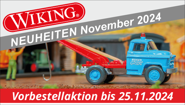 wiking_121124_blog