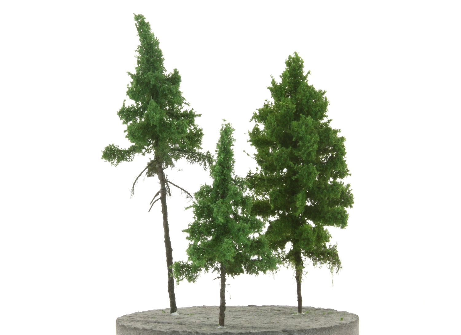 elriwa 293025 - MD - 3er Set Nadelbäume, Höhe ca. 5-8 cm