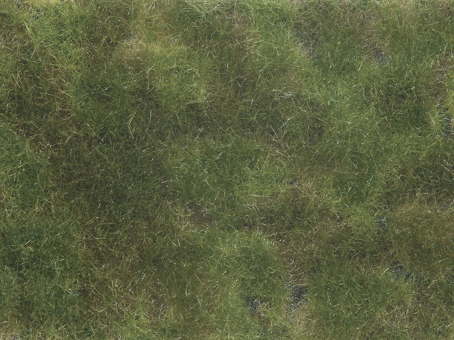 Noch 07251 - Bodendecker-Foliage, olivgrün, 12 x 18 cm