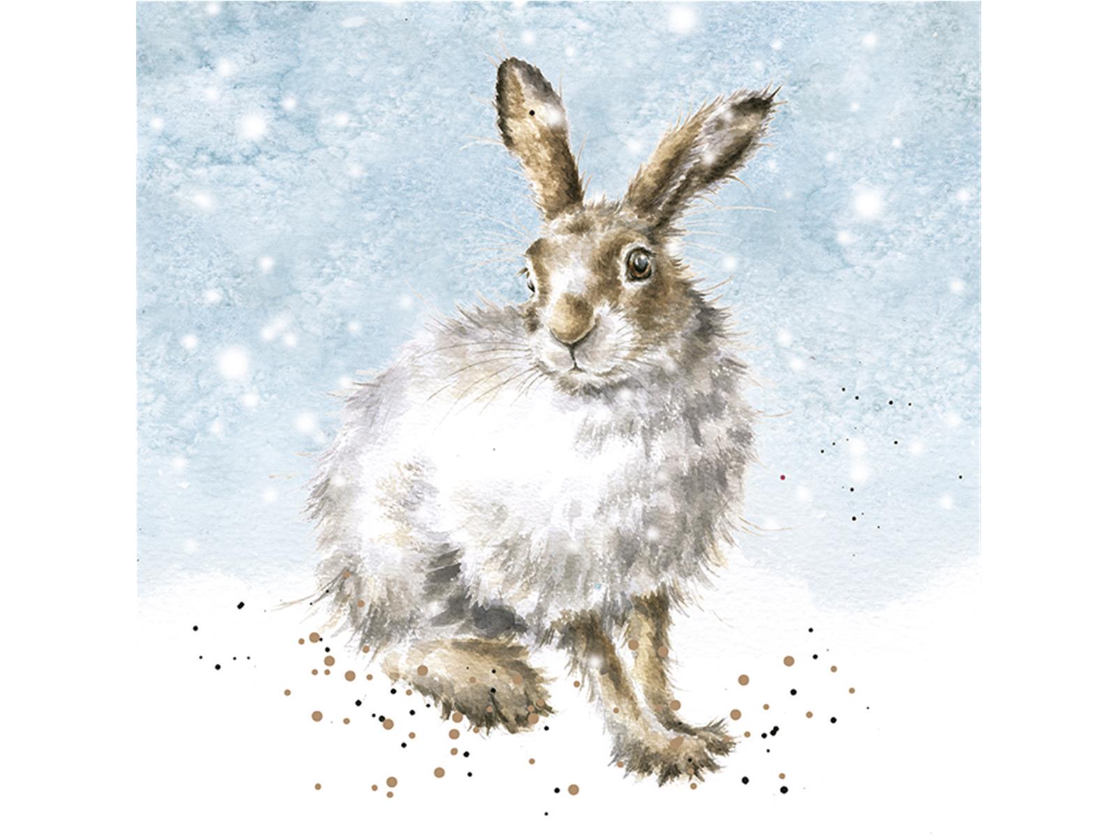 Wrendale Weihnachtskarten Set " Winter Hare",Hase sitzt im Schnee, 8 Karten mit Umschlag und Text, 12x12 cm