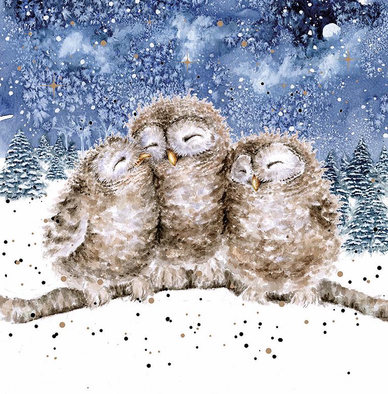 Wrendale Weihnachtskarten Set Merry Christmas, Motiv drei kuschelnde Eulen "Three Wise Men"