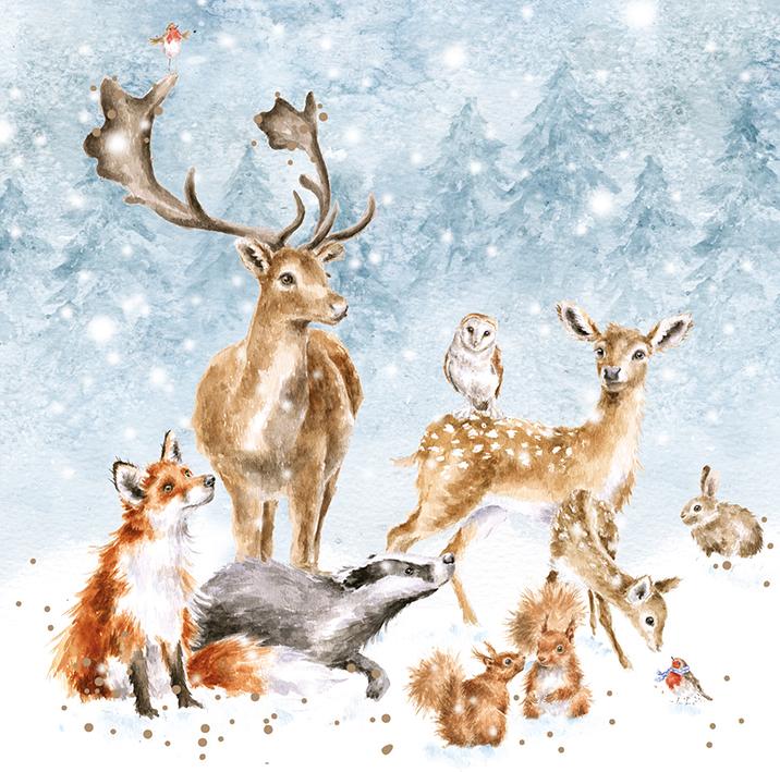 Wrendale Weihnachtskarten Set " Winter Wonderland",Waldtiere im Schnee, 8 Karten mit Umschlag und Text, 12x12 cm