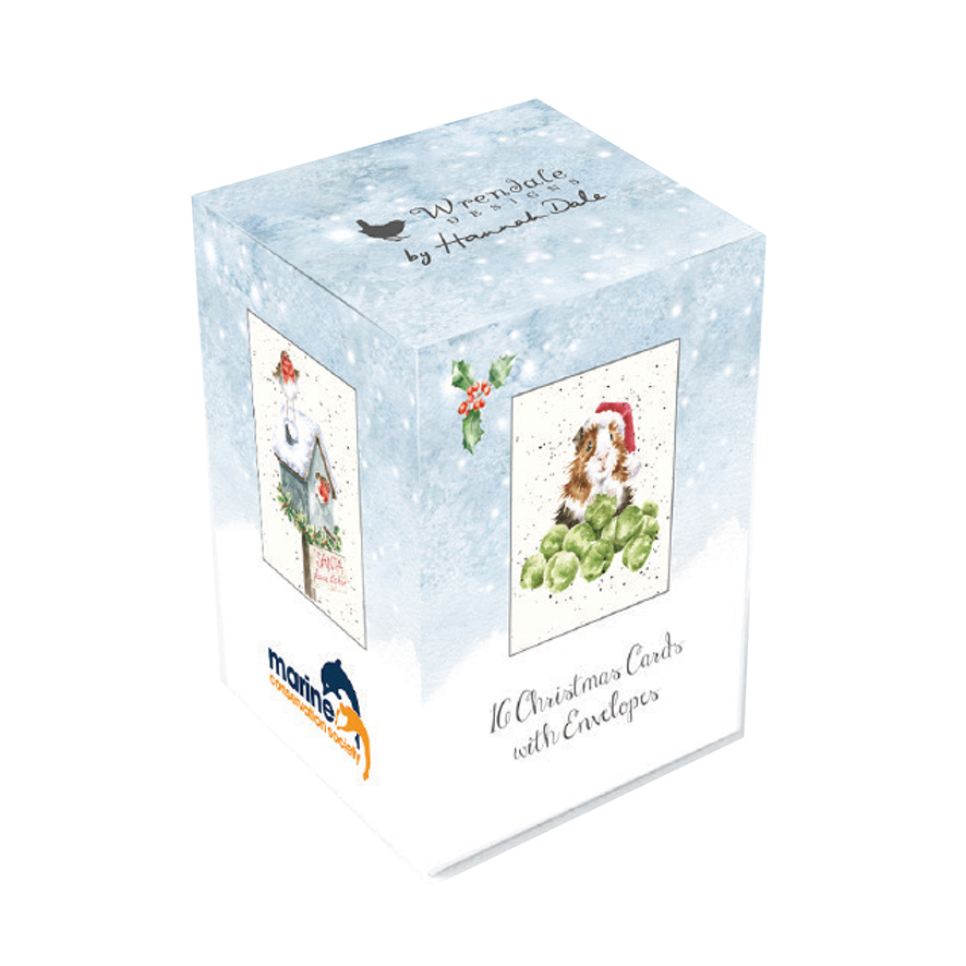 Wrendale weihnachtliches Mini-Karten Set, in Box, 16 Karten, 4 verschiedene Motive Hund/Rotkehlchen/Meerschweinchen/Waldtiere, 10x5cm