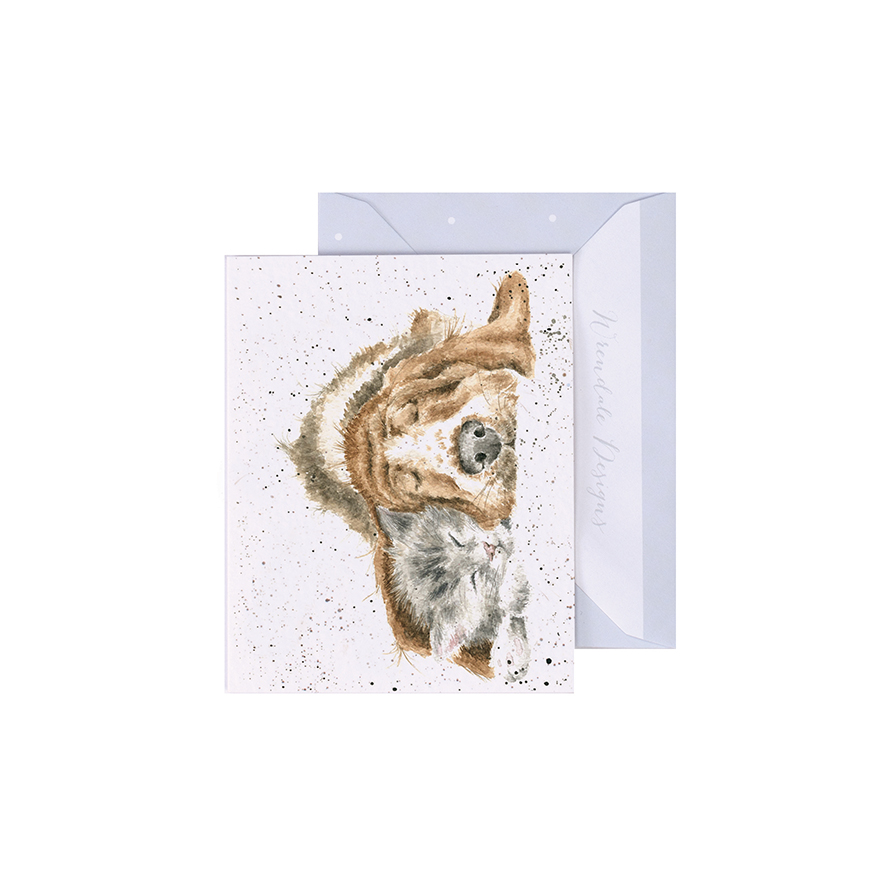 Wrendale Mini-Karte mit Umschlag, Motiv Hund und Katze schlafen, Dog and Catnap