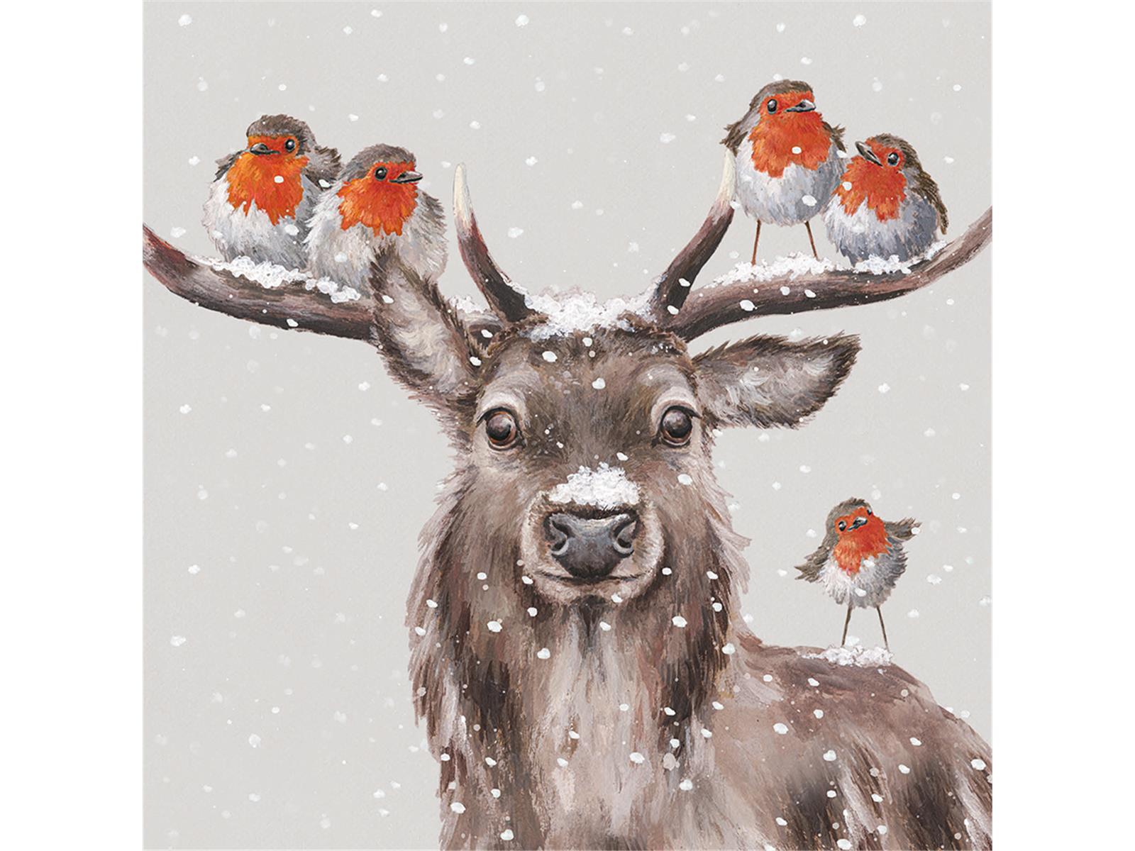 Wrendale Weihnachtskartenbox, Motiv Hirsch mit Rotkehlchen , 8 Karten mit Umschlag und Text, 15,5x15,5 cm