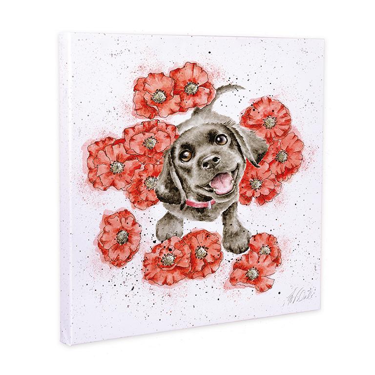 Wrendale Leinwand klein, Aufdruck kleiner Labrador im Mohnblumenfeld, "Poppy Love"  20x20cm