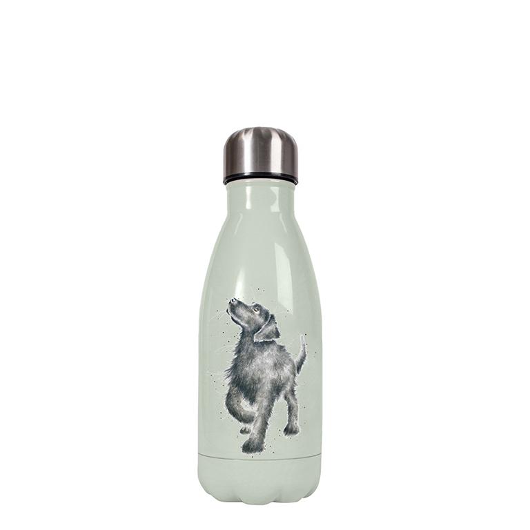 Wrendale kleine Trinkflasche in Geschenkverpackung, Motiv Hund mit Leine im Maul, grün,  260 ml