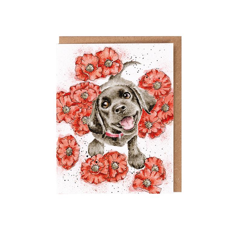 Wrendale Doppelkarte mit Umschlag, Motiv Hund mit Mohnblumen, Poppy Love 