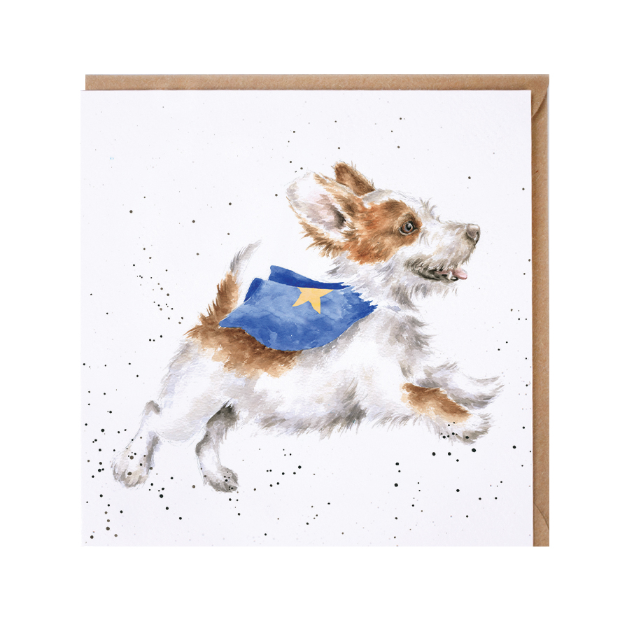 Wrendale Doppelkarte Superdog mit Umschlag, Motiv Hund als Superheld, 15x15 cm