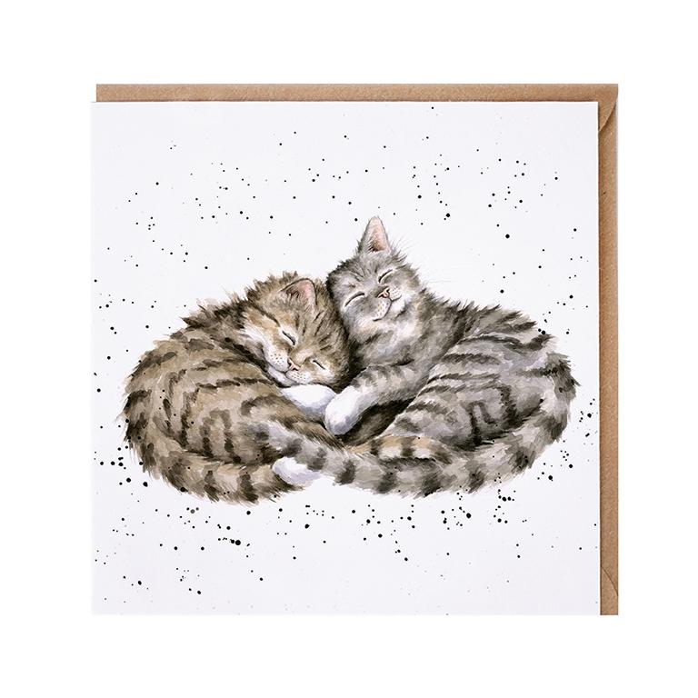 Wrendale Doppelkarte Sweet Dreams mit Umschlag, zwei Katzen kuscheln miteinander, Quadratisch, 15x15 cm