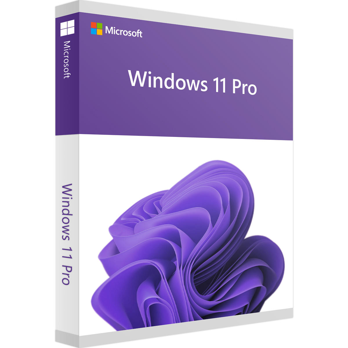 Windows 11 Professional kaufen
