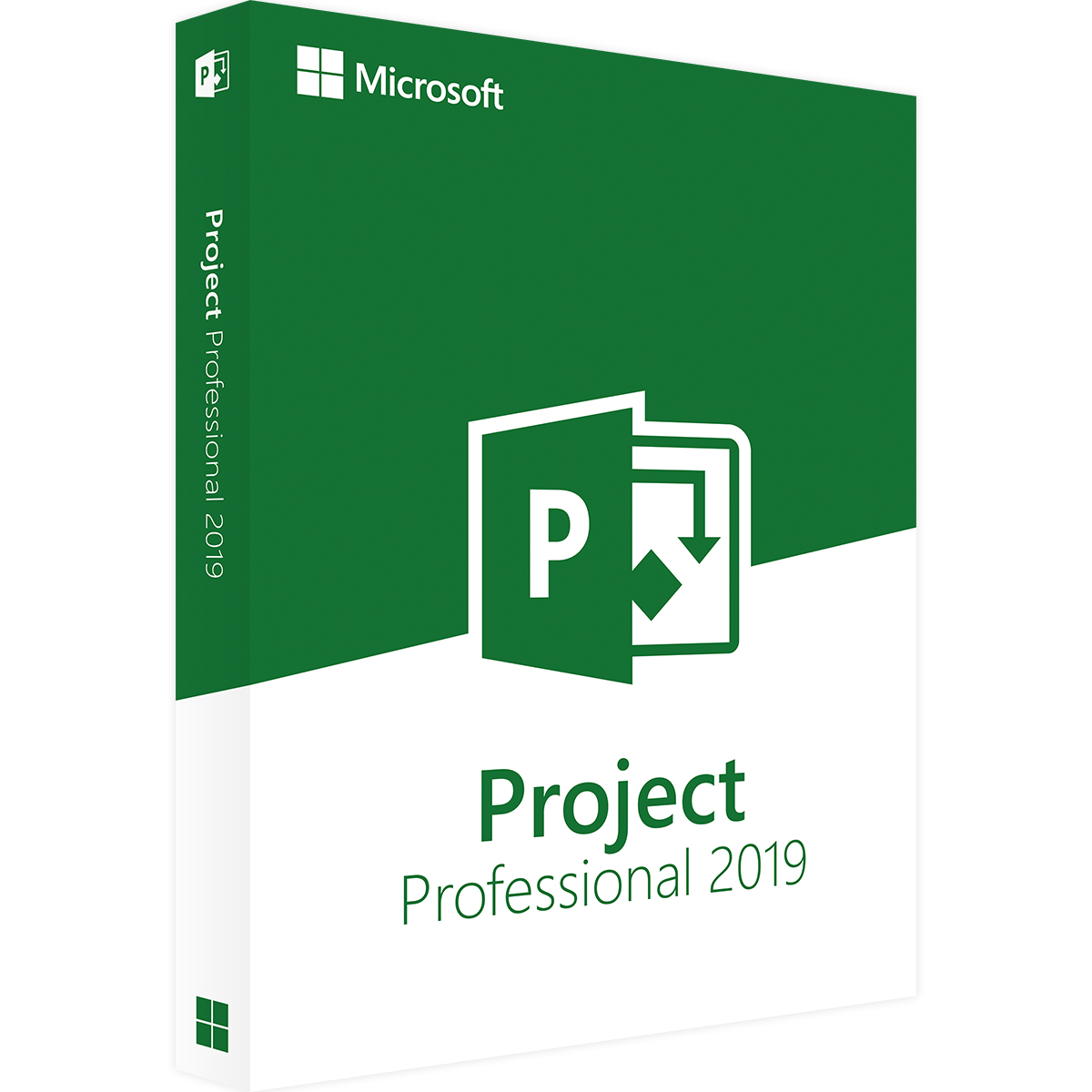 Project 2019 Professional kaufen Project 2019 Professional kaufen