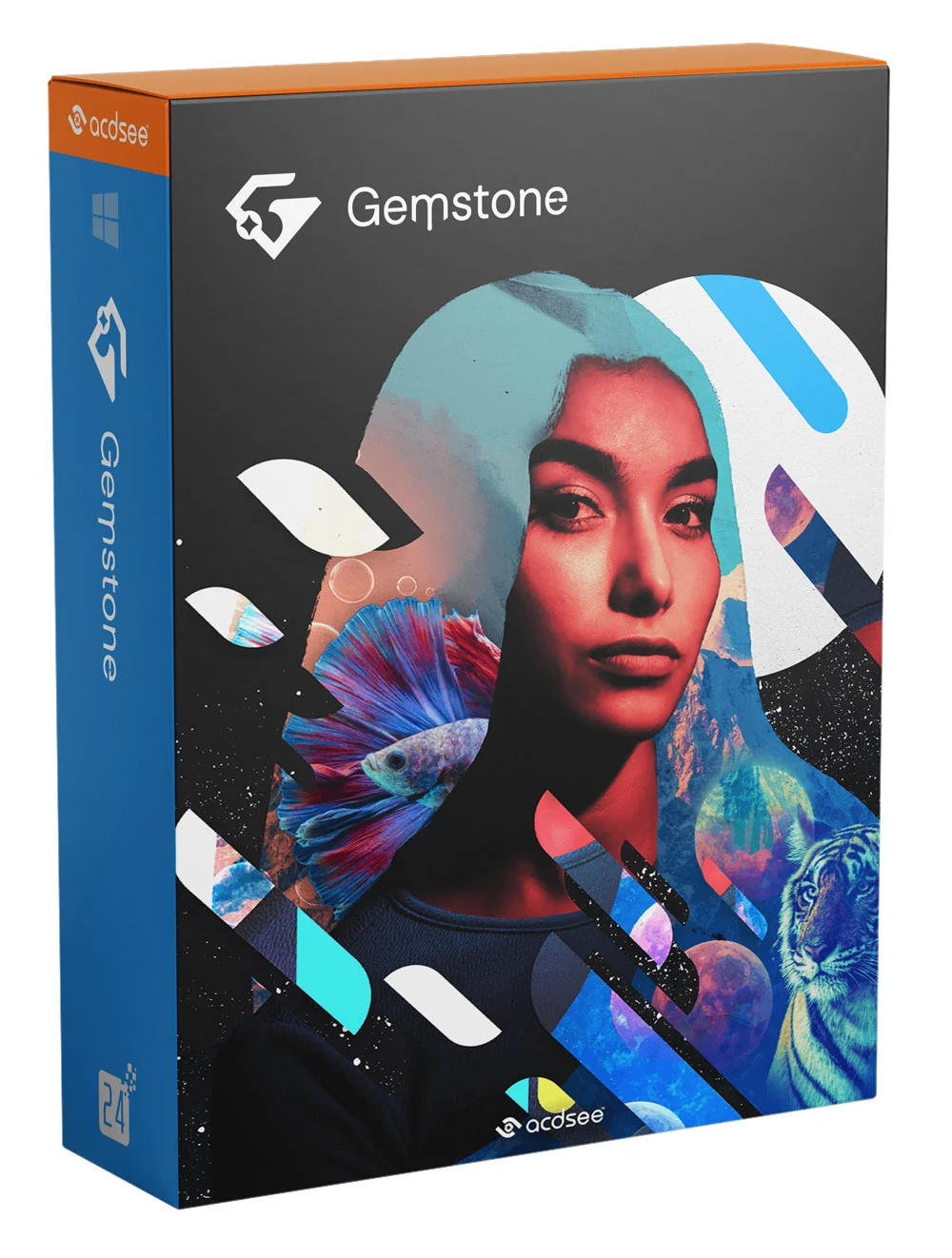 ACDSee Gemstone Photo Editor 12 - 1 Jahr Abonnement - 1 Benutzer ACDSee Gemstone Photo Editor 12 - 1 Jahr Abonnement - 1 Benutzer