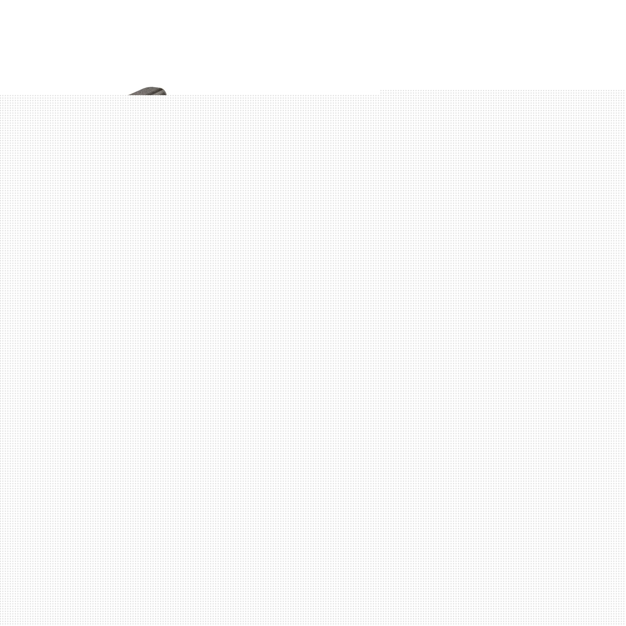 Elite Custom Race X Elite Custom Race X