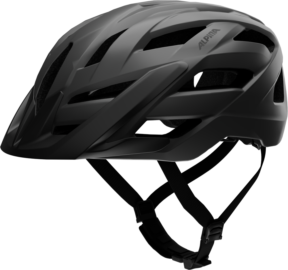 Panoma 4