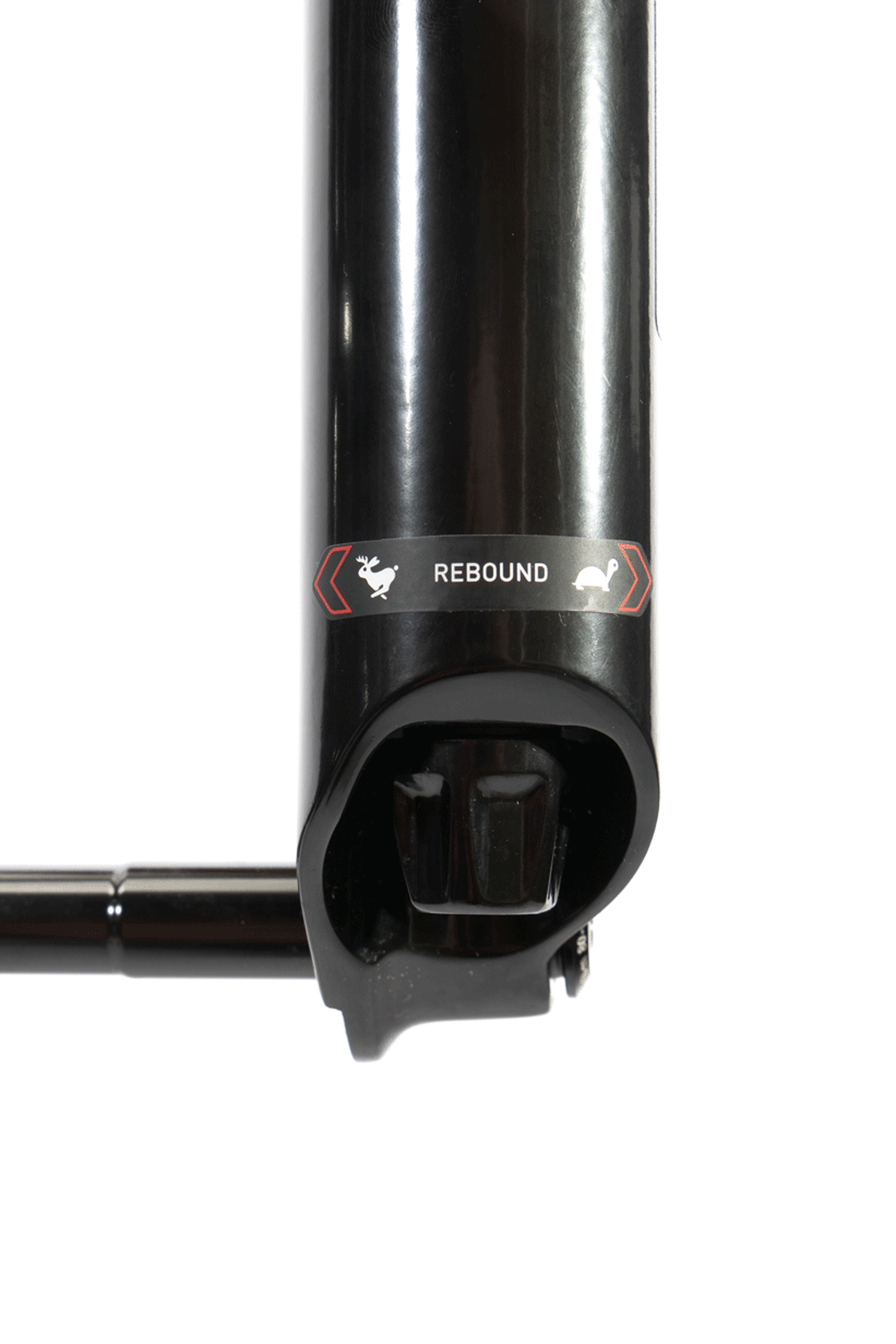 Revelation RC 150mm 29" 44mm DebonAir