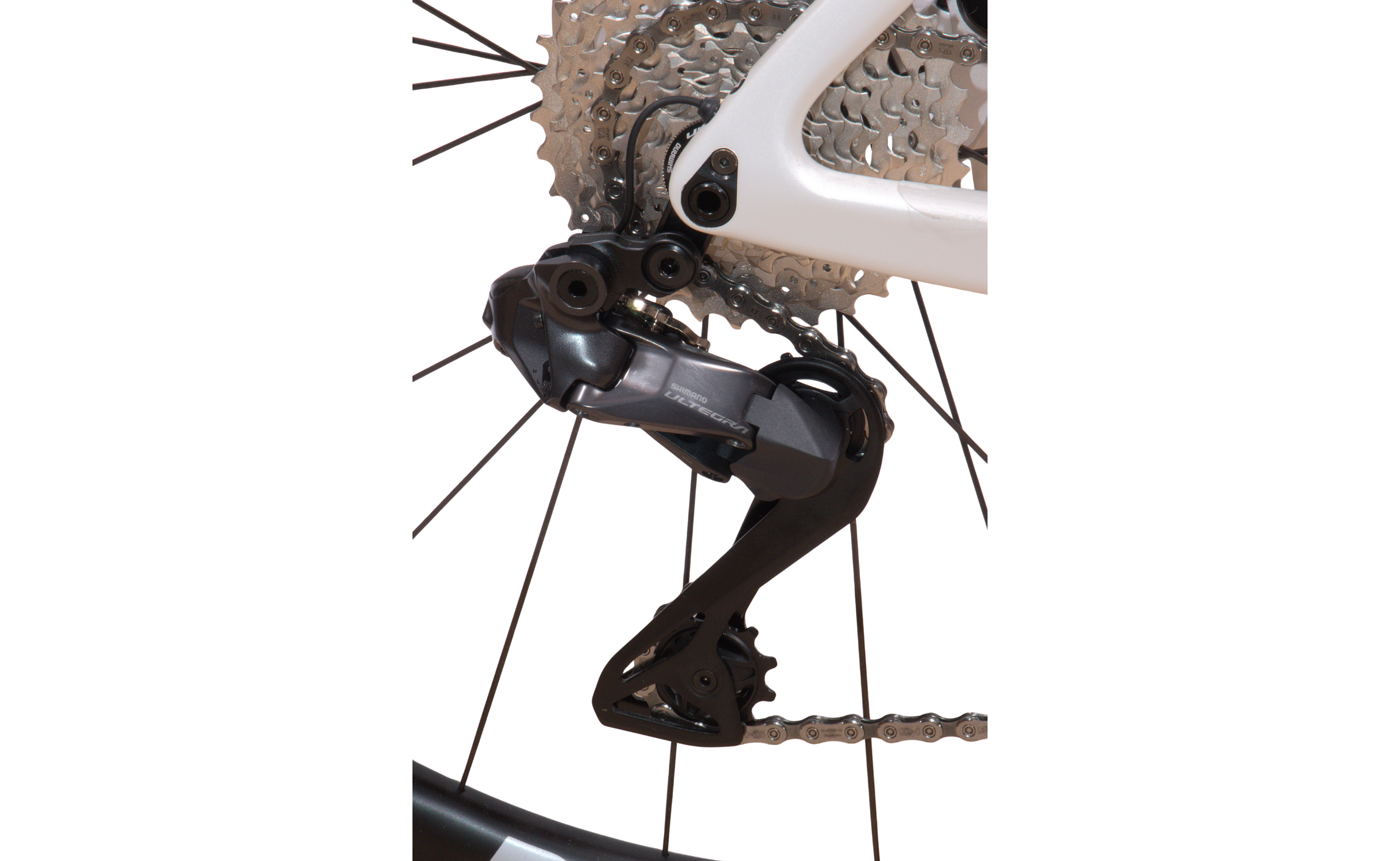 Pavo Expert Di2 ERC Di28 Rh46cm Diamant 24K