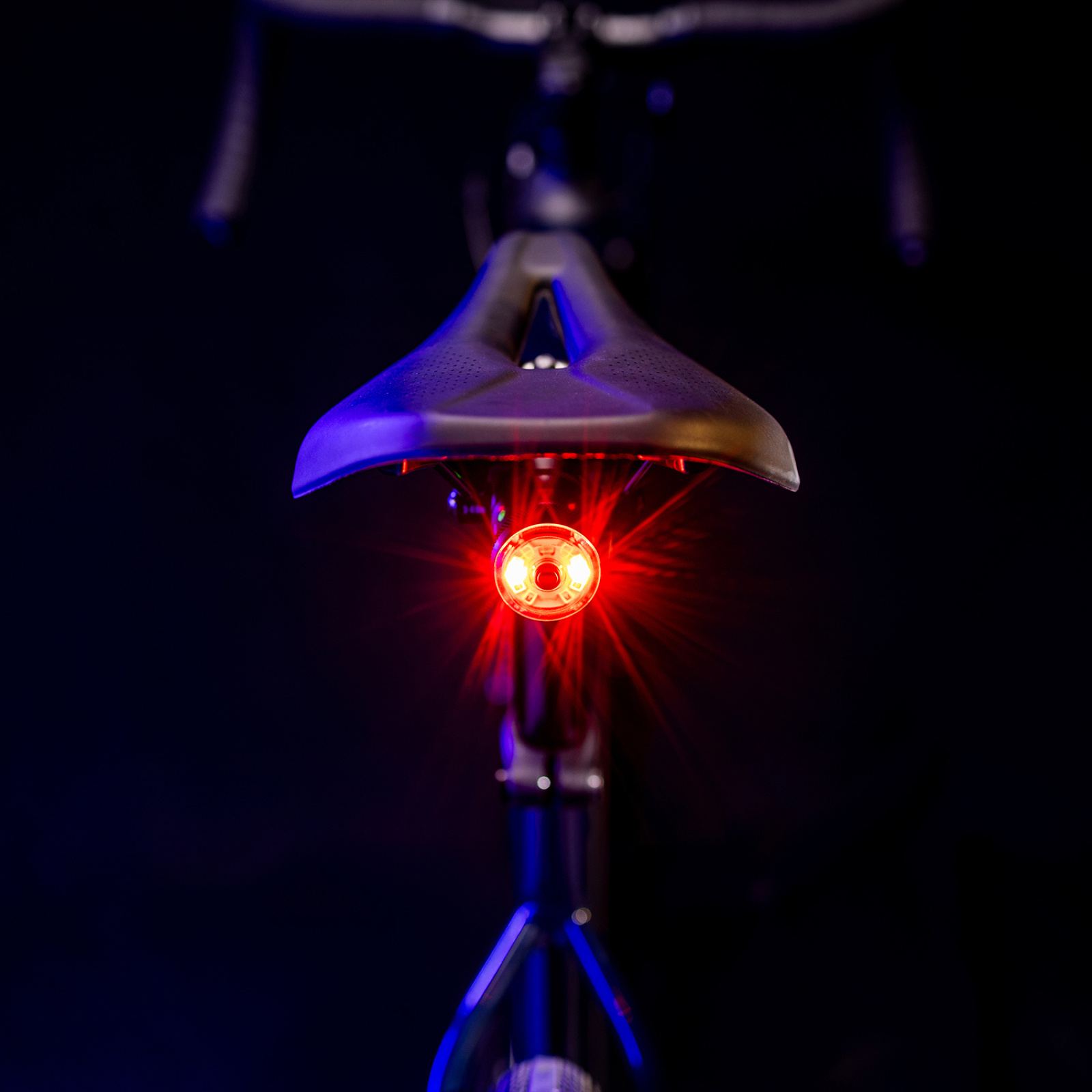 Saddle Ai Alert StVZO