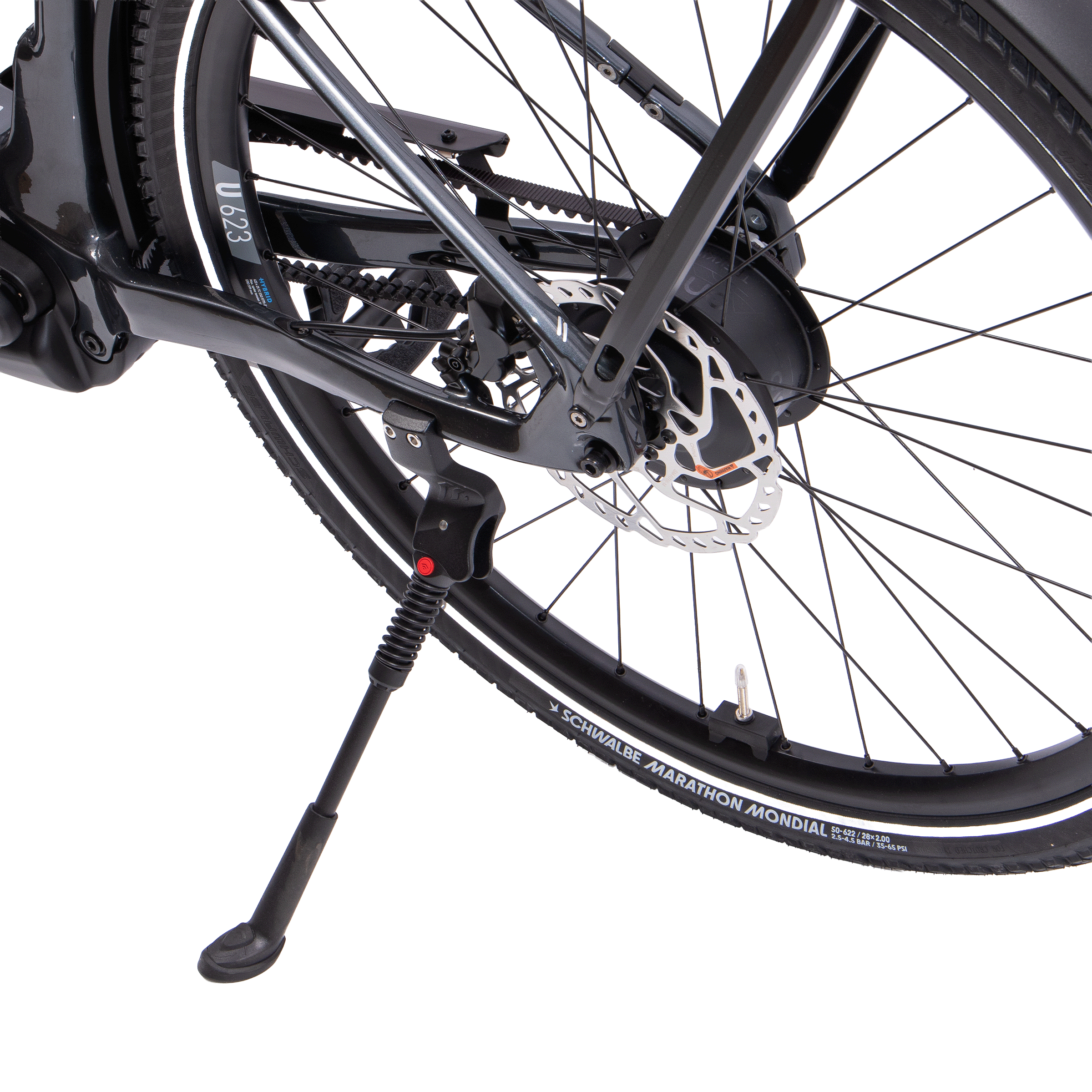 Chenoa :e High Selection+ Di29 Rh46cm Diamant Enviolo 800Wh