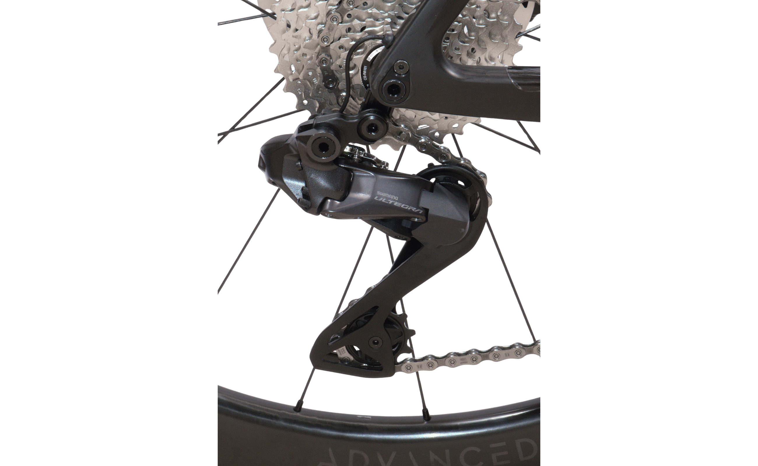 Pavo Expert Di2 Di28 Rh55cm Diamant 24K