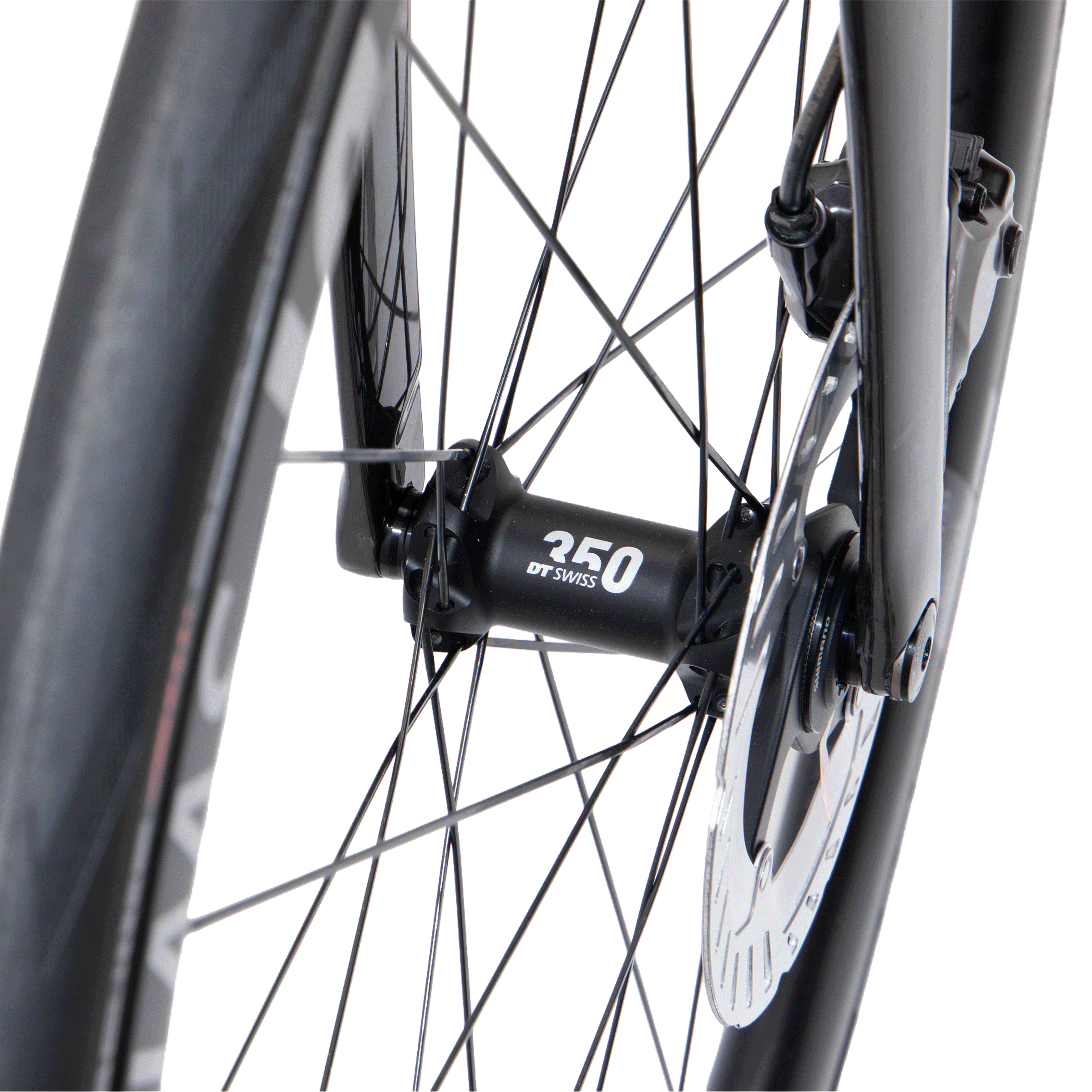Pavo Expert Di2 ERC Di28 Rh52cm Diamant 24K