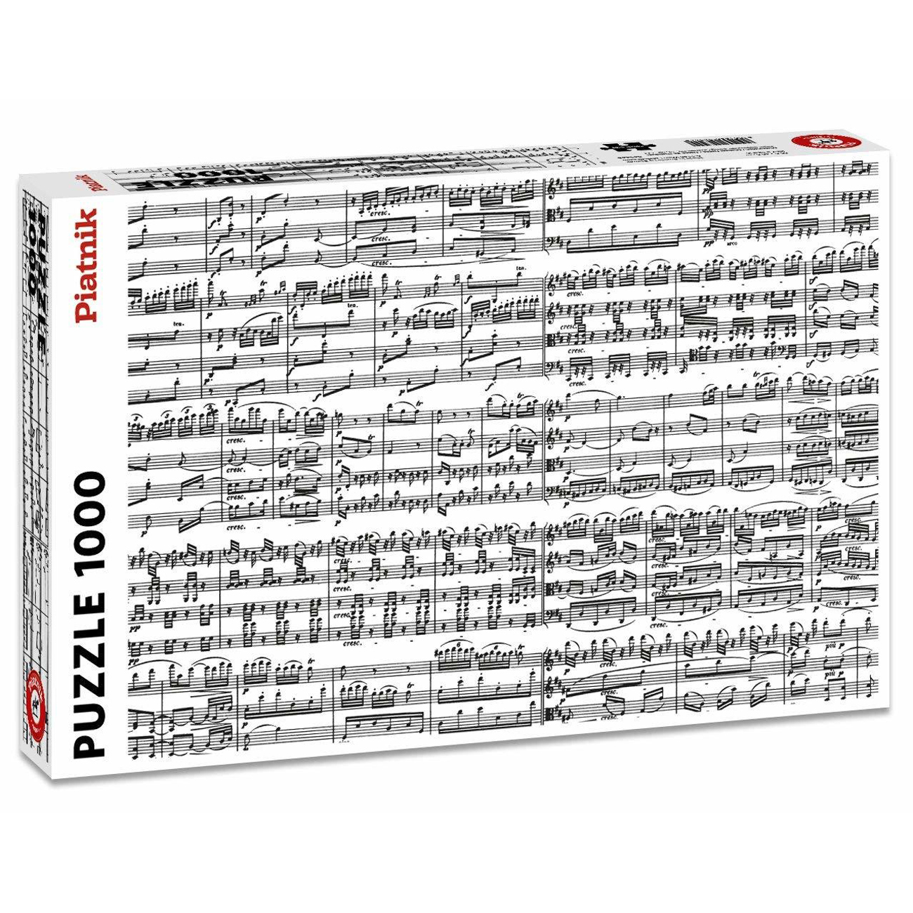 Puzzel Musical Notes - 1000 stukjes