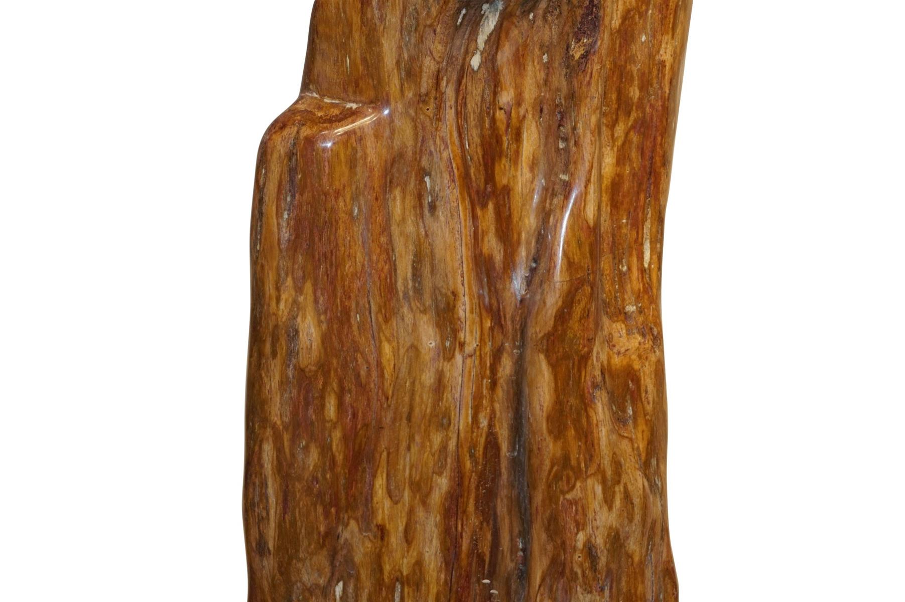 Steinskulptur Versteinertes Holz 54cm