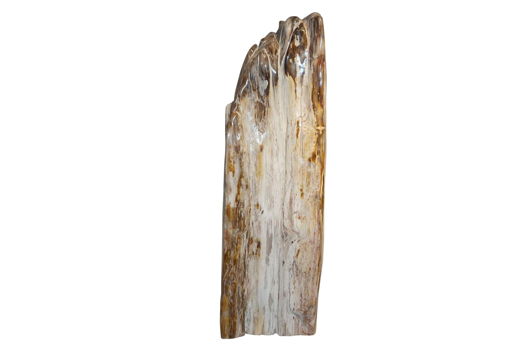 Steinskulptur Versteinertes Holz 64cm