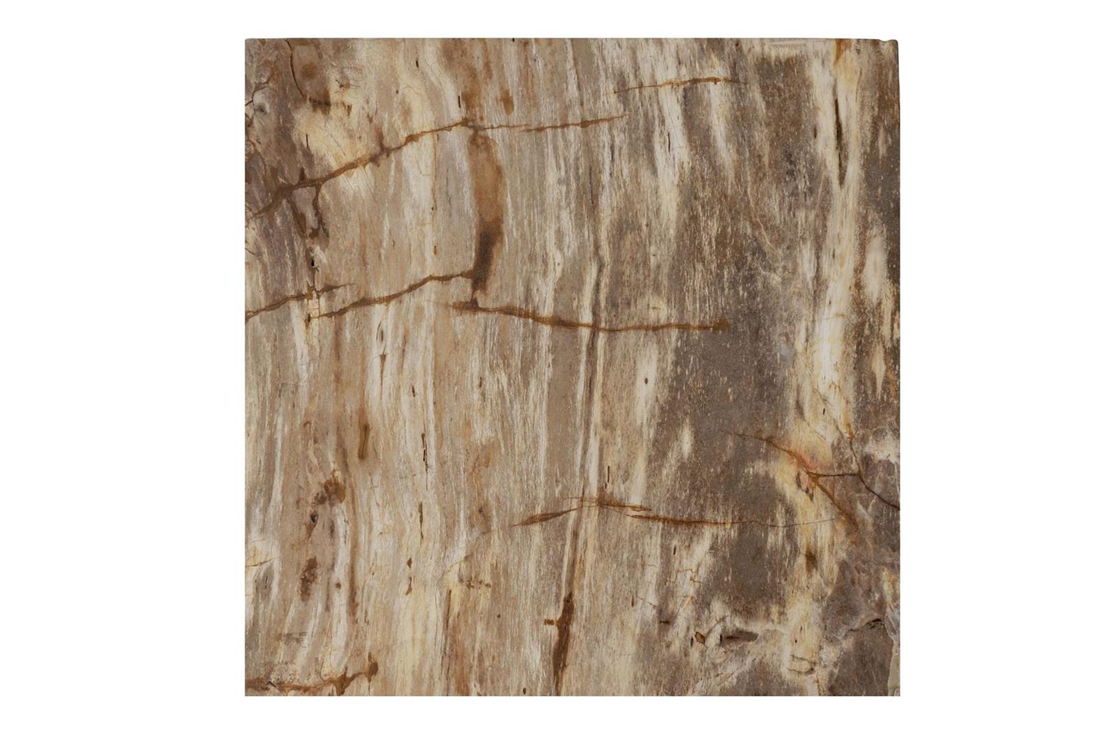 Beistelltisch Versteinertes Holz T374