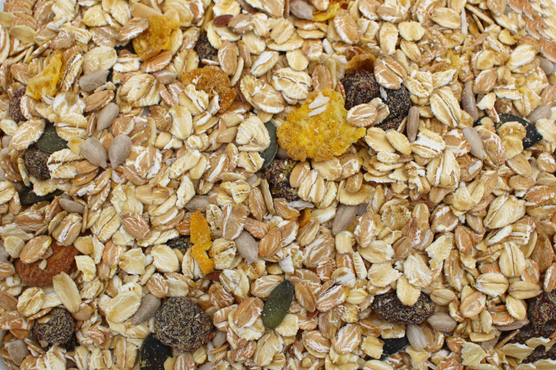 Müsli Vital bio 12,5kg