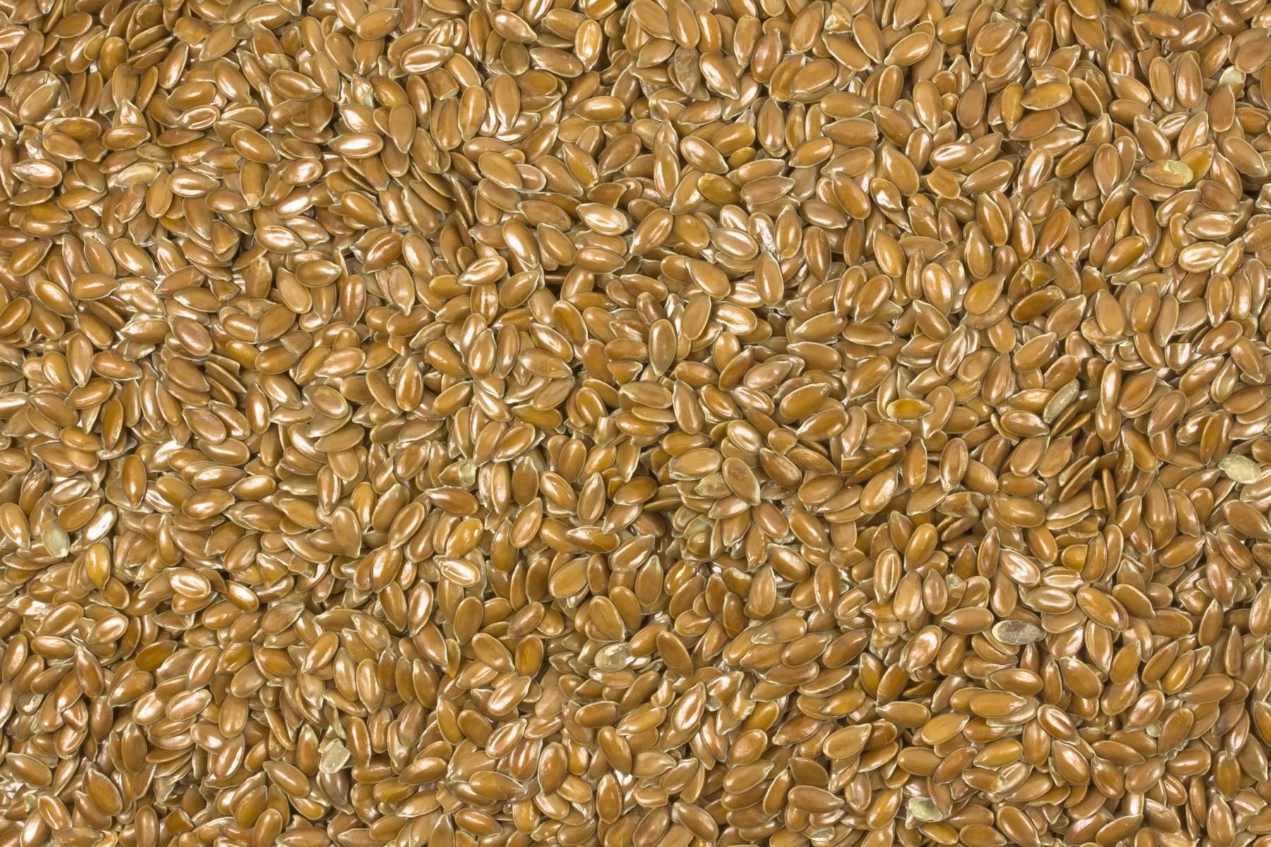 Leinsaat braun bio Verarbeiterqualität