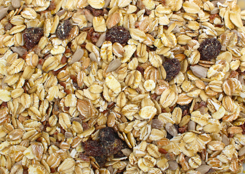 Müsli Basis bio 12,5kg