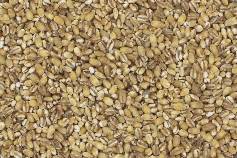 Gerste geschält bio (Graupen, Rollgerste, Kochgerste)