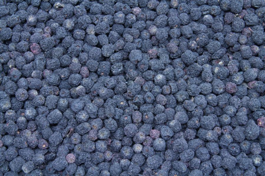 Aronia Beeren bio 1kg