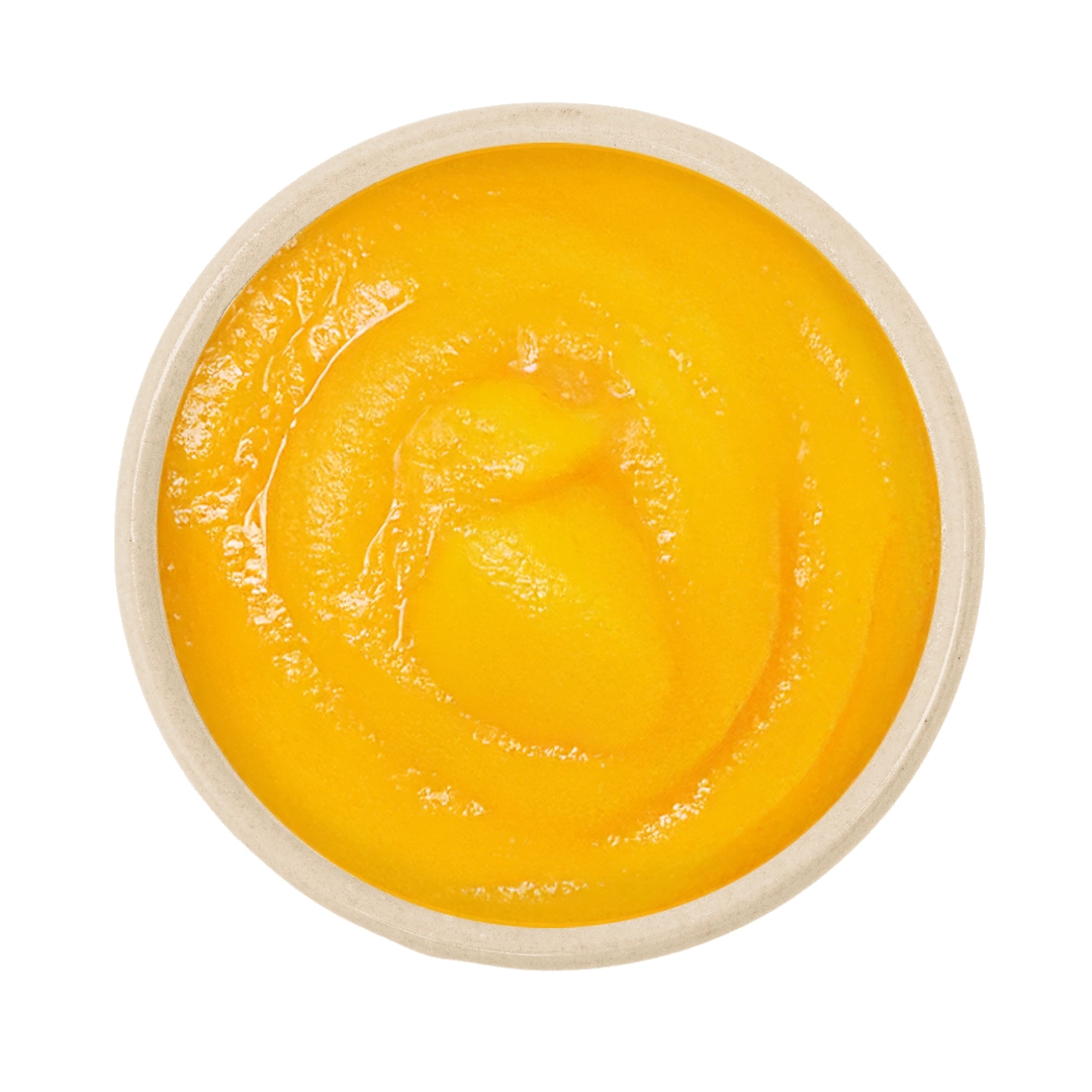 Mangopüree bio in der Dose 3,1kg